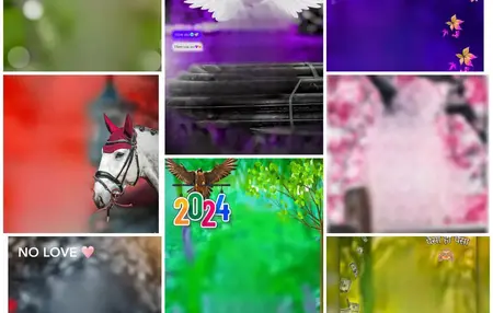 How to Use a Video Editing Template