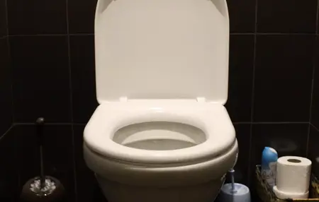 How to Use a Toilet