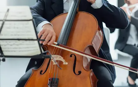 How to Learn to Play the Cello