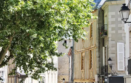 How to Learn to Play the Vielle