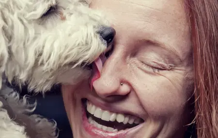 How to Make Your Pet Feel Safe and Secure