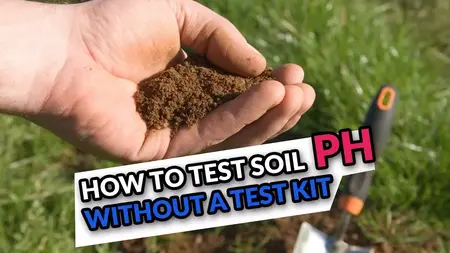 How to Test Soil pH