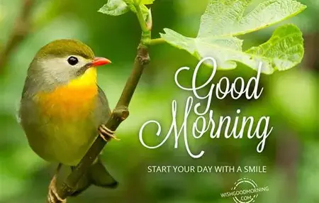 How to Develop a Positive Morning Routine