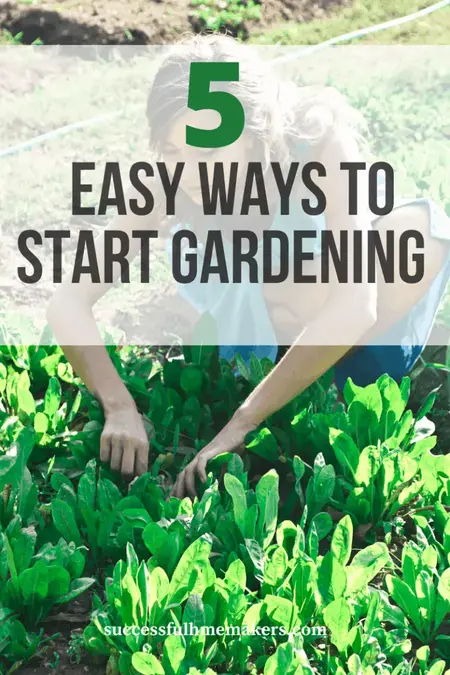 How to Get Started with Gardening
