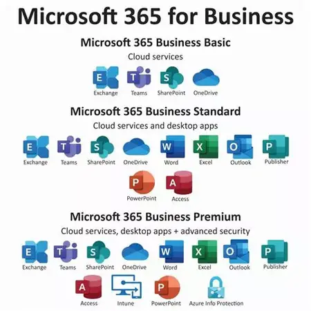 How to Use Microsoft 365 for Business