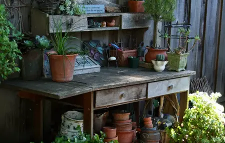 How to Start a Garden in a Small Space