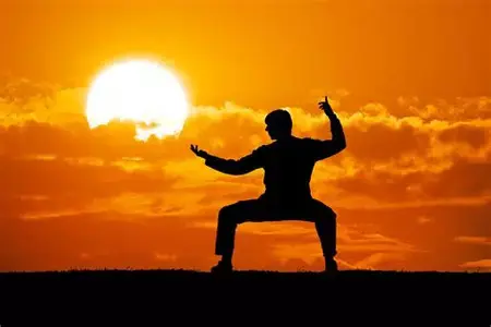 How to Learn to Play Kung Fu