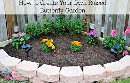How to Create a Butterfly Garden