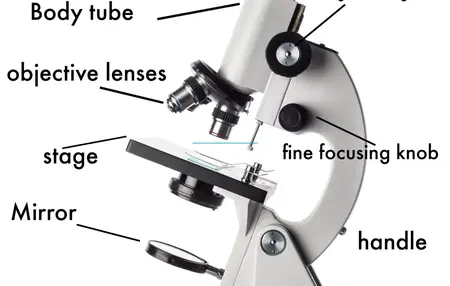 How to Learn to Use a Microscope