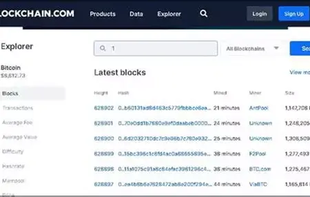 How to Use a Blockchain Explorer