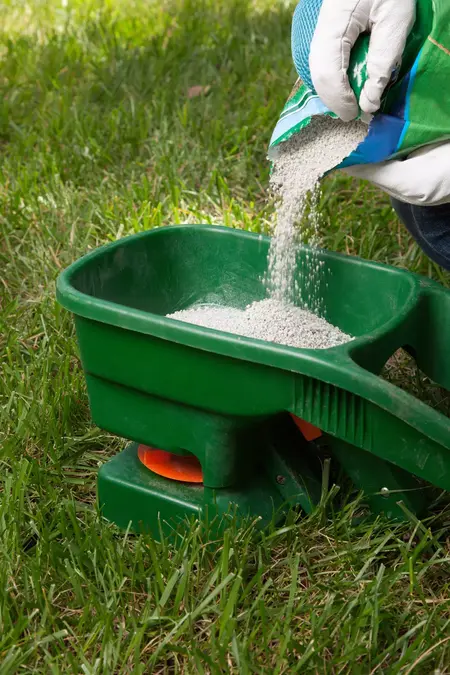 How to Fertilize Your Lawn