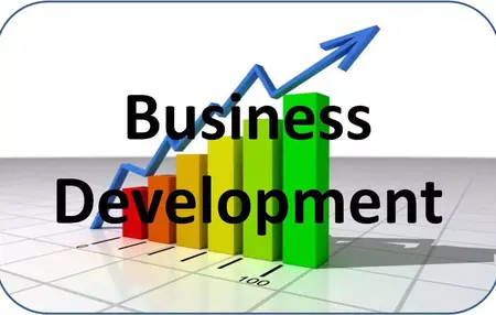 How to Use Business Development