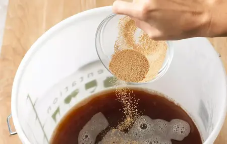 How to Make Your Own Kombucha