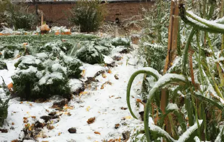 How to Winterize Your Garden