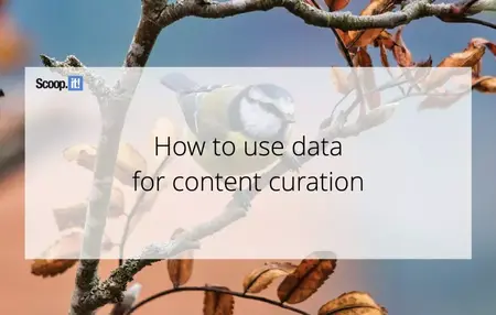 How to Use Content Curation to Share Valuable Content and Engage Your Audience