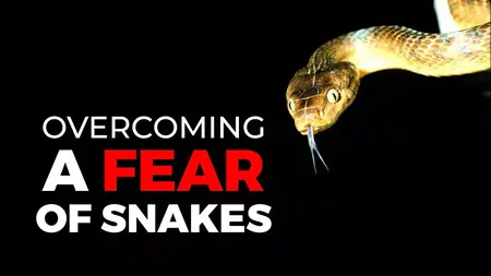 How to Overcome Fear of Snakes