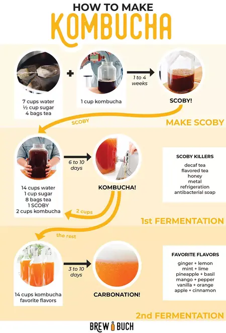 How to Make Kombucha Tea Cocktail