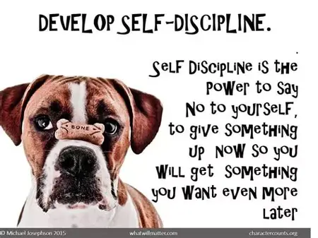 How to Develop Self-Discipline