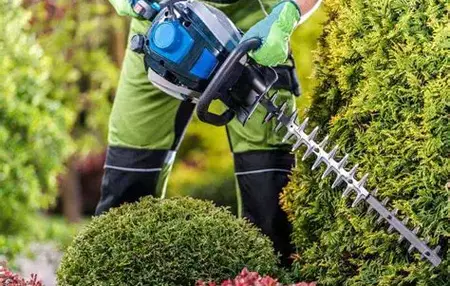 How to Use a Hedge Trimmer