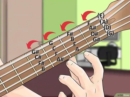 How to Learn to Play the Bass Guitar for Beginners