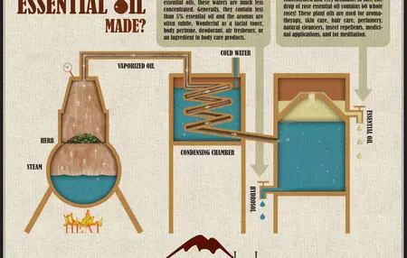 How to Make Your Own Essential Oils