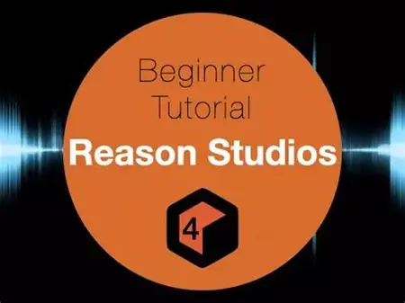 How to Learn to Use Reason for Beginners