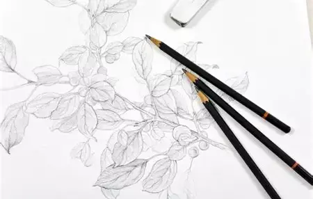 How to Learn to Draw with a Pencil