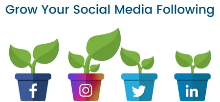 How to Build a Strong and Engaged Social Media Following