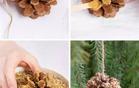 How to Make a Pinecone Bird Feeder