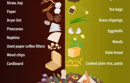 How to Start a Compost Bin