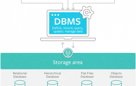 How to Use a Database