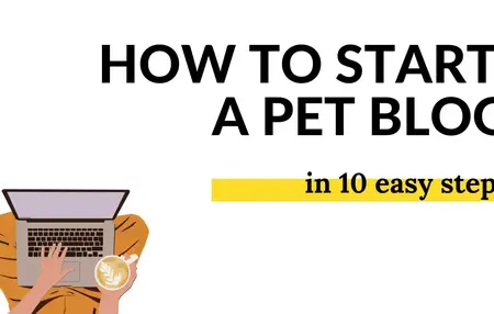 How to Start a Pet Blog