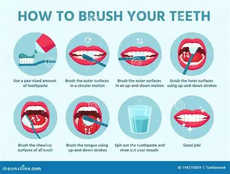 How to Use a Toothbrush