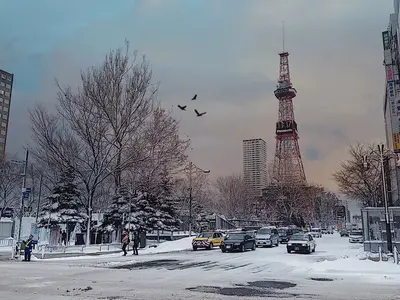 Salju Pertama di Sapporo, Gunung Fuji Tunggu Musim Dingin - Jepang