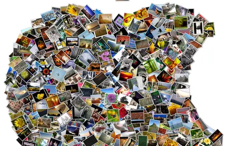 How to Create a Stunning Photo Collage