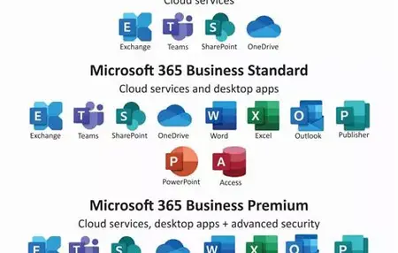 How to Use Microsoft 365 for Business