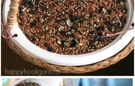 How to Make a Paper Plate Bird Feeder