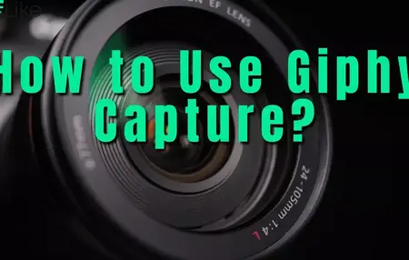 How to Use Giphy for Finding GIFs