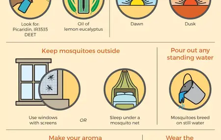 How to Prevent Mosquito Bites
