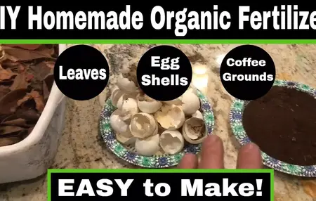 How to Make Your Own Natural Fertilizer