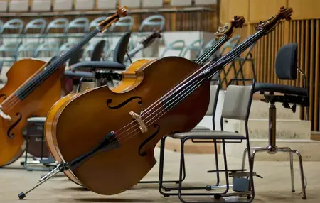 How to Learn to Play the Double Bass