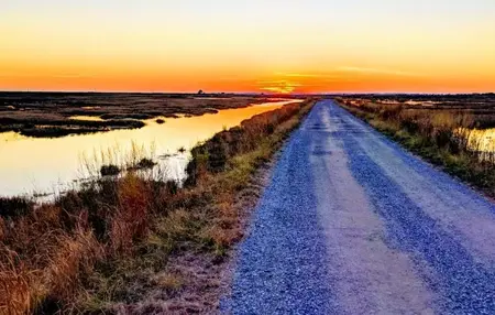 How to deal with wildlife encounters