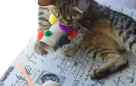 How to Make Your Own Cat Toys