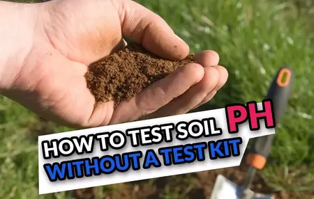 How to Test Soil pH