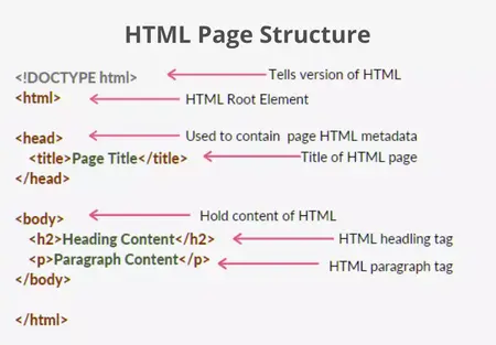 How to Understand Basic HTML