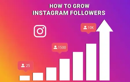 How to Grow Your Instagram Following