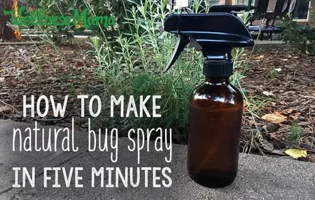 How to Create a Natural Bug Spray