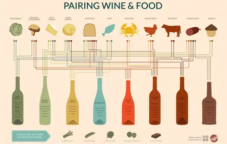 How to Make a Perfect Wine Pairing