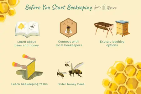 How to Start Beekeeping
