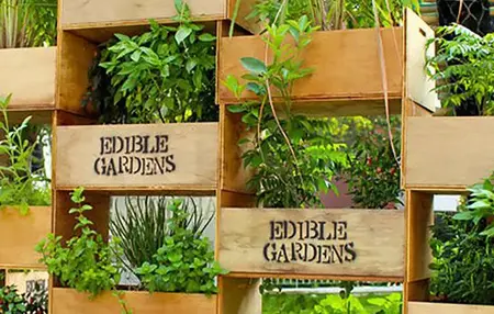 How to Make a Vertical Garden
